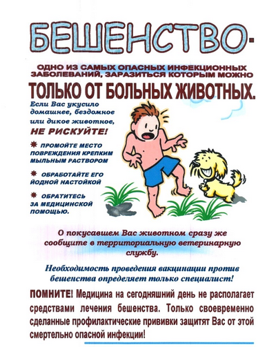 Памятка по Бешенству (Копировать).png